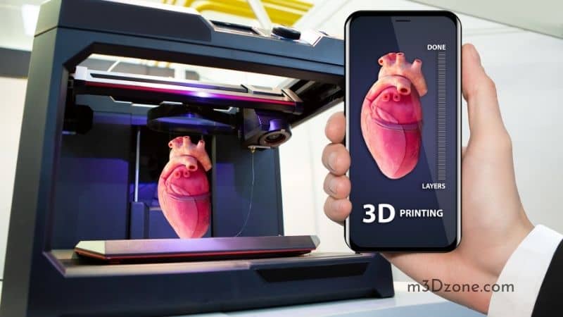 3D Printed Human Organ